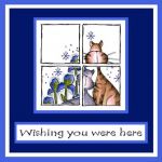 Cats in a Window Card